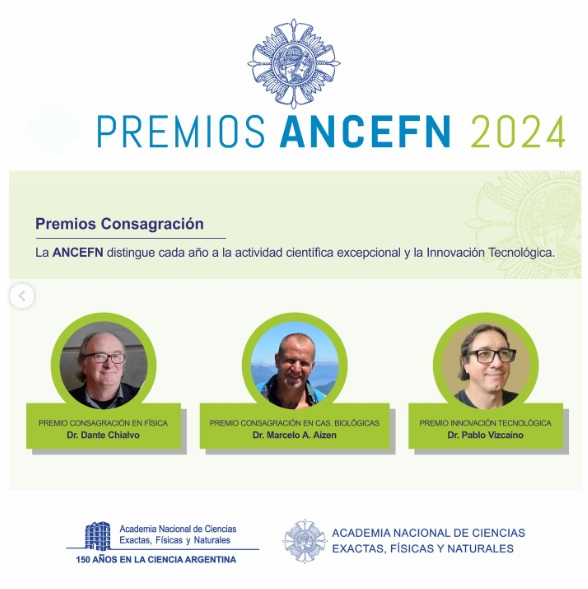 premios 2024